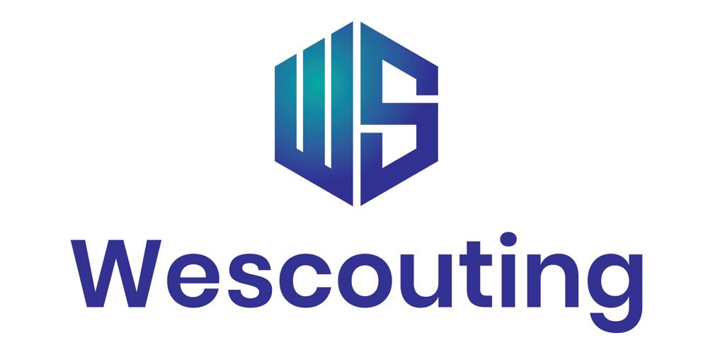Logo We Scouting